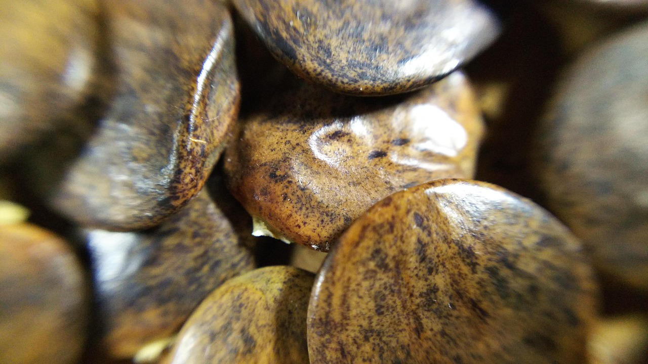 Test: quanto sei vicino al tuo peso ideale con Metabolismo Active?